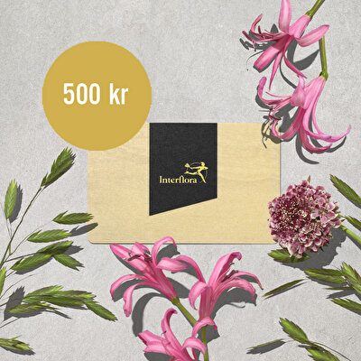 Interfloras presentkort för 500 kronor